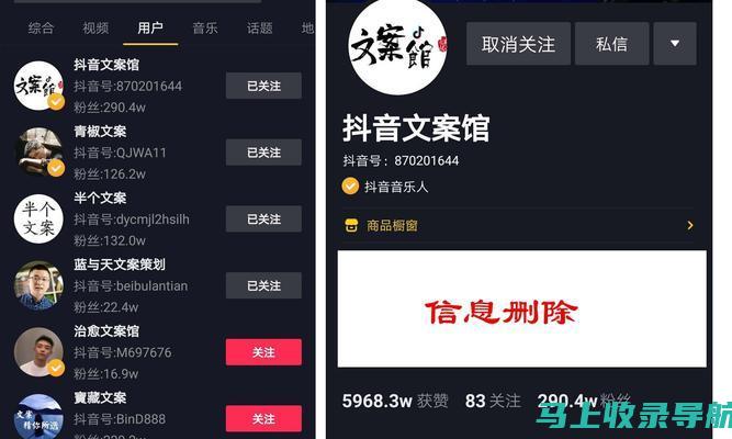 揭秘抖音搜索引擎优化技巧，助力内容创作者抢占先机